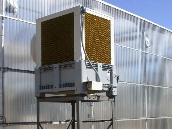 Evaporative cooling unit beside a greenhouse wall