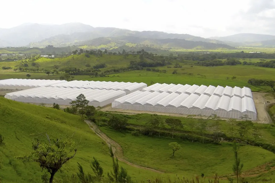 MSC K3 multi-span greenhouses in a green valley